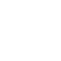 Creación de contenido